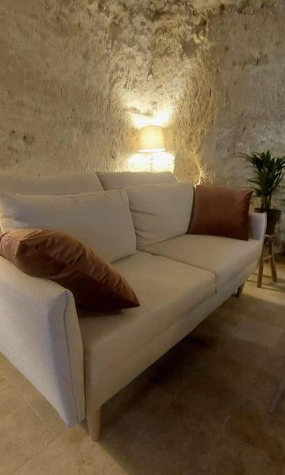 Troglo Entre Caves Et Chateaux Montlouis-sur-Loire Eksteriør billede