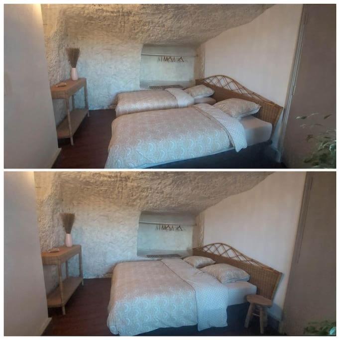 Troglo Entre Caves Et Chateaux Montlouis-sur-Loire Eksteriør billede