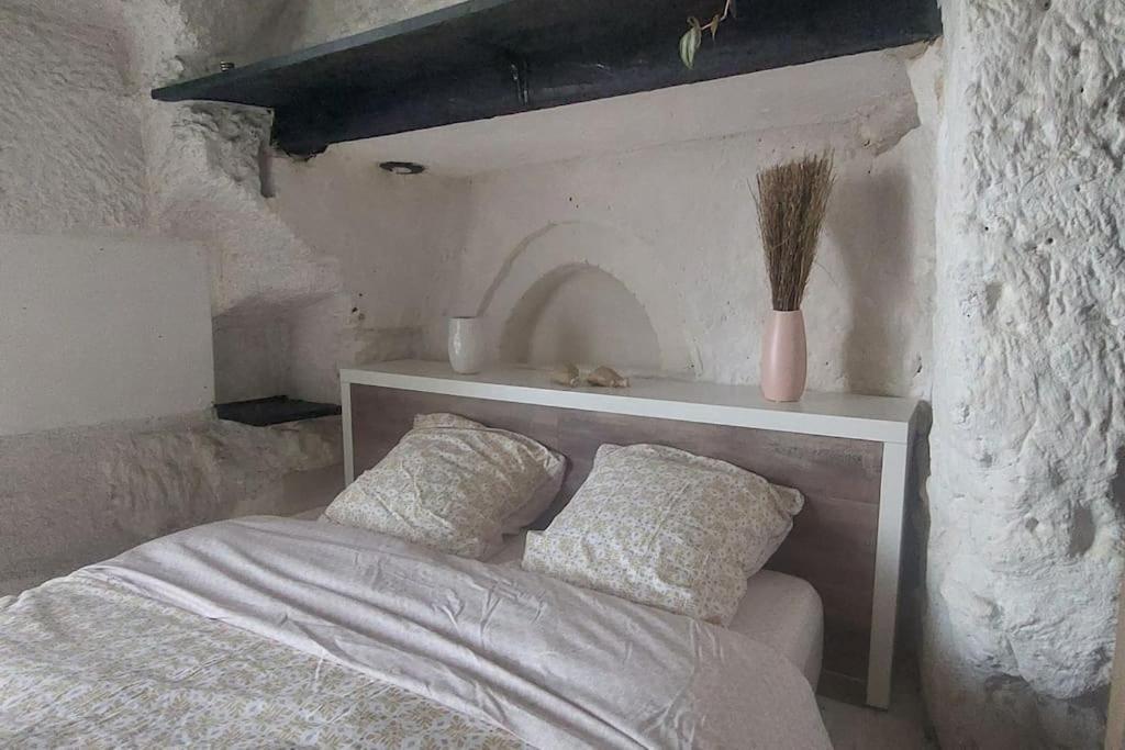 Troglo Entre Caves Et Chateaux Montlouis-sur-Loire Eksteriør billede