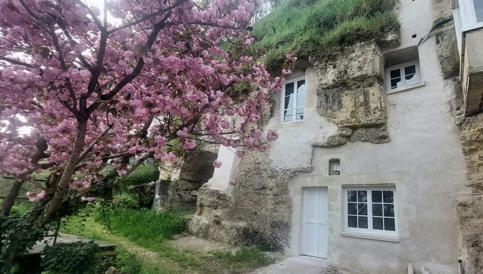 Troglo Entre Caves Et Chateaux Montlouis-sur-Loire Eksteriør billede